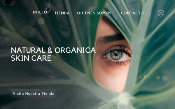Pro-Entrepreneur website — Genbia example